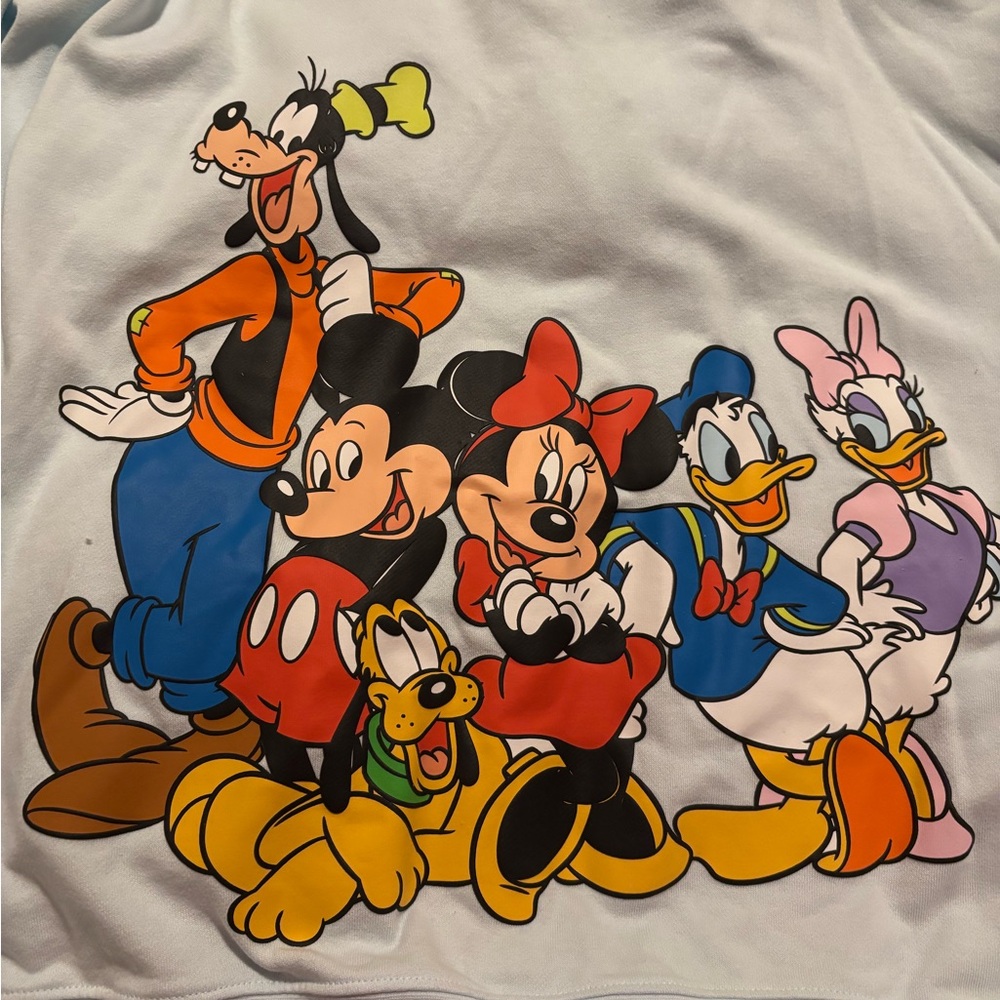 Walt Disney World NWT Zip Hoodie - Blue with Classic Characters